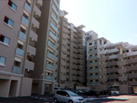 ������s�T�[�r�X���сi�}���V�����j