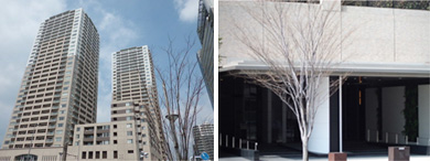 ������s�T�[�r�X���сi�}���V�����j